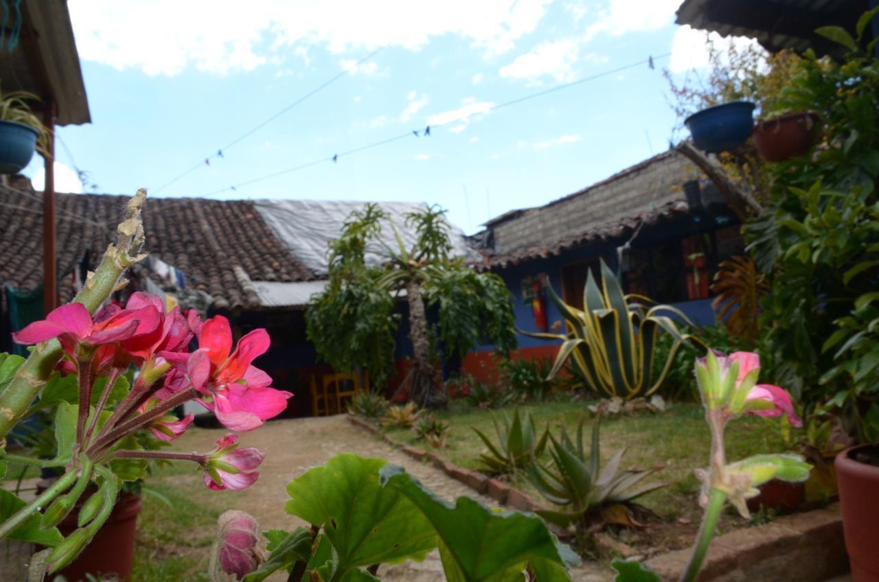 Hostal El Rincon De Los Camellos Сан-Кристобаль-де-Ла-Касас Экстерьер фото