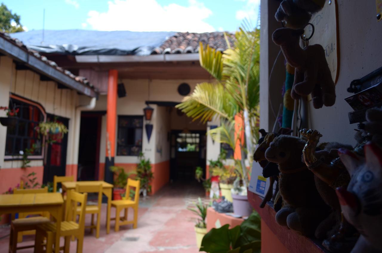Hostal El Rincon De Los Camellos Сан-Кристобаль-де-Ла-Касас Экстерьер фото