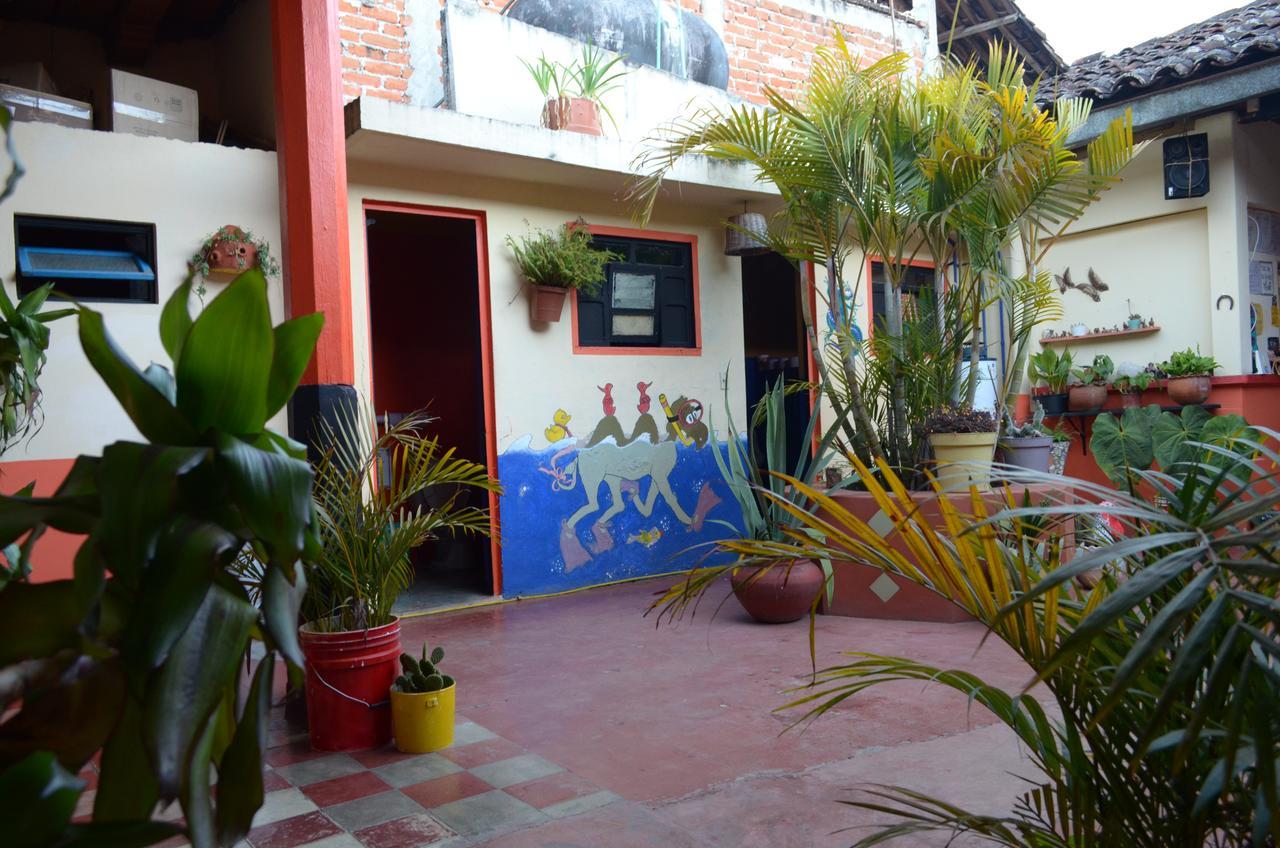 Hostal El Rincon De Los Camellos Сан-Кристобаль-де-Ла-Касас Экстерьер фото