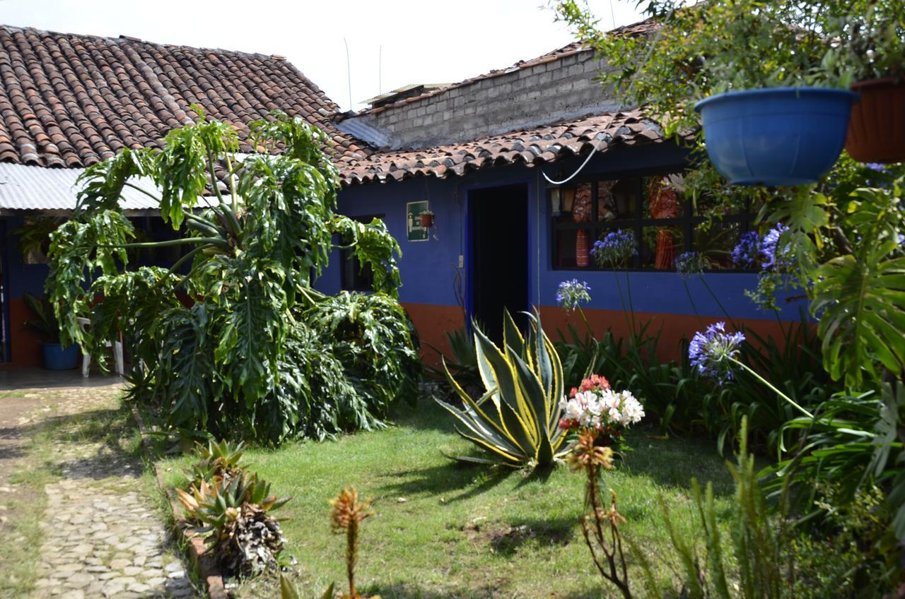 Hostal El Rincon De Los Camellos Сан-Кристобаль-де-Ла-Касас Экстерьер фото