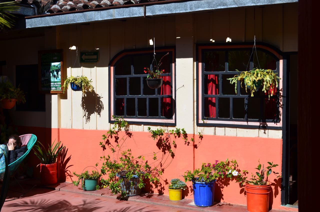 Hostal El Rincon De Los Camellos Сан-Кристобаль-де-Ла-Касас Экстерьер фото